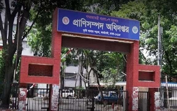 প্রাণিসম্পদ অধিদপ্তরে বিশাল নিয়োগ