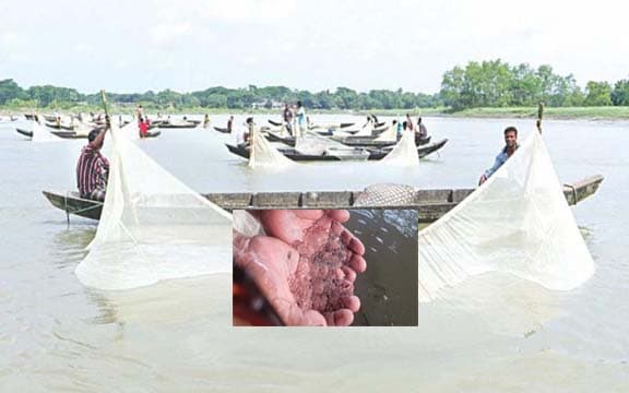 হালদায় নমুনা ডিম ছেড়েছে মা-মাছ