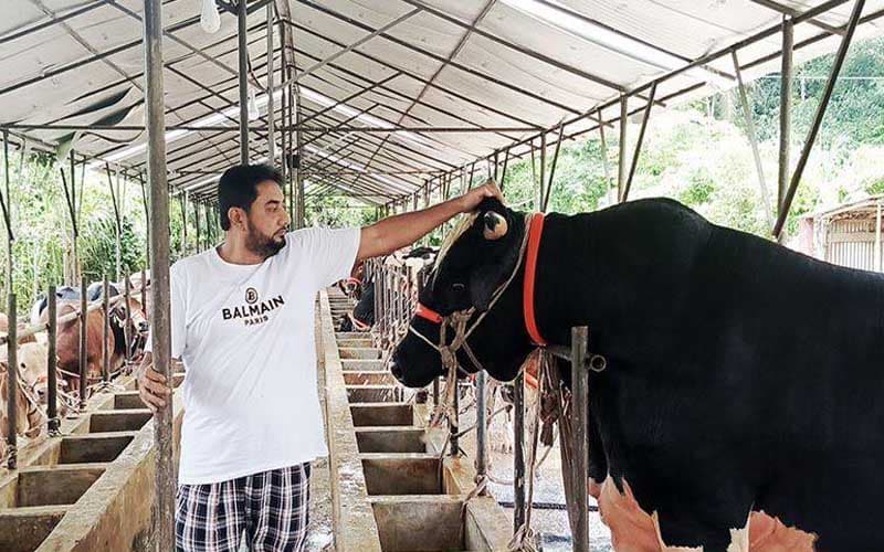 চট্টগ্রামে এবার ৭৮ হাজার কোরবানির পশুর ঘাটতি