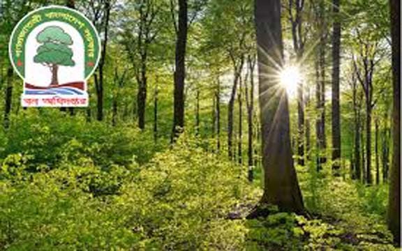 বন অধিদপ্তরে বড় নিয়োগ, পদ-৩৮২